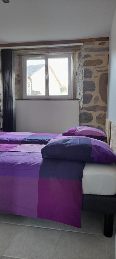 Chez Nave Au Pied Du Meygal Διαμέρισμα Boussoulet Εξωτερικό φωτογραφία