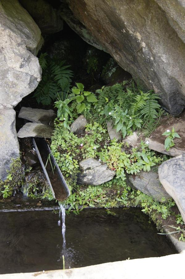 Chez Nave Au Pied Du Meygal Διαμέρισμα Boussoulet Εξωτερικό φωτογραφία